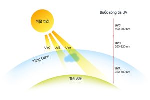 Mặt trời có UVC, UVB, UVA với bước sóng lần lượt là 100-290nm, 290-320nm, 320-400nm