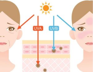 Tác hại của tia UVA và UVB, UVA gây lão hoá da, UVB làm cháy sạm da