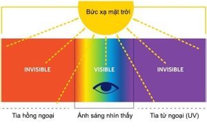 3 loại bức xạ mặt trời: Tia hồng ngoại, ánh sáng nhìn thấy, tia tử ngoại (UV)